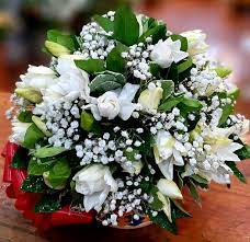 Envio y venta de flores ,rosas, plantas,arreglos florales ,regalos y desayunos a domicilio con delivery gratis en la Ciudad Autonoma de Buenos Aires y con costo de env�o en localidades del Gran Buenos Aires asi como delivery de flores y plantas a trav�s de florerias asociadas en todas las provincias de la Argentina, Buenos Aires, la Pampa, Tucuman, La Rioja, R�o Negro, Entre Rios, Corrientes, Misiones, Neuquen, Chubut, Tierra del Fuego, Santa Cruz, San Luis, Mendoza, Cordoba, Jujuy, Formosa, Santiago del Estero, Salta, Chaco, Catamarca ,San Juan, y ademas realizamos el delivery de flores ,coronas,palmas , plantas y regalos a todas las ciudades de Argentina, Mar del Plata, C�rdoba, Buenos Aires, con cargo en Santa Rosa, La Plata, Bella Vista, Neuquen, Pilar, Paran�, Posadas, Resistencia, Cipolleti y mas de 300 ciudades y localidades en todo el territorio de nuestro pa�s, asi como tambien tenemos la posibilidad de enviar flores a casi todo el mundo en cuestion de horas